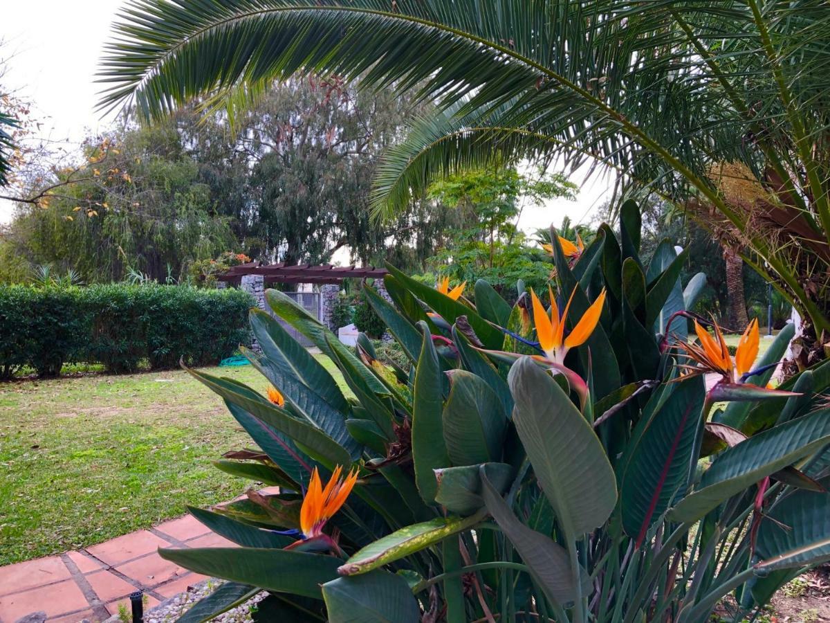 Puerto Banus Apartamento Flores Marbella Ngoại thất bức ảnh